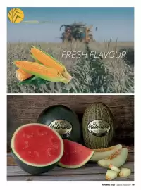 Catálogo Costco Página 99