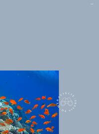 Volantino Francorosso Pagina 147