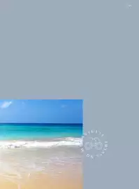 Volantino Francorosso Pagina 141