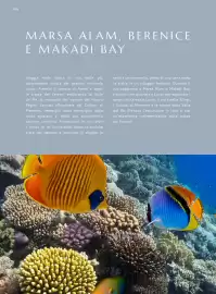 Volantino Francorosso Pagina 146