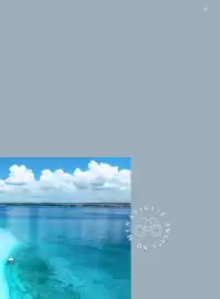 Volantino Francorosso Pagina 93