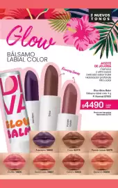 Folleto Gigot Página 13