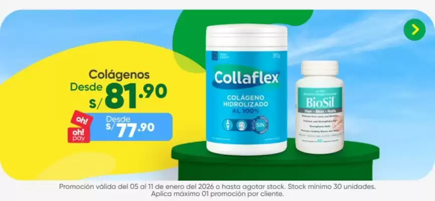 Catálogo InkaFarma (válido hasta 11-01)