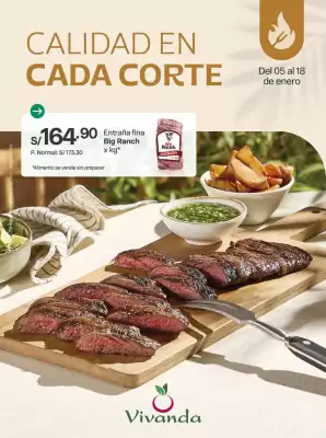 Catálogo Vivanda (válido hasta 18-01)