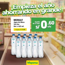 Catálogo Mayorsa Página 3