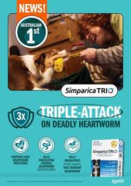 Pets Domain catalogue Page 13