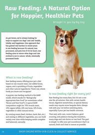 Pets Domain catalogue Page 14