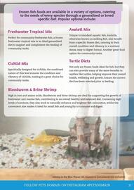 Pets Domain catalogue Page 37