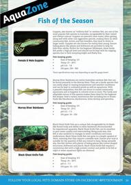 Pets Domain catalogue Page 39