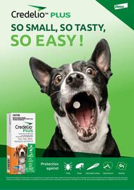 Pets Domain catalogue Page 48