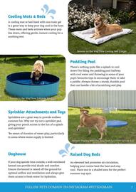 Pets Domain catalogue Page 7