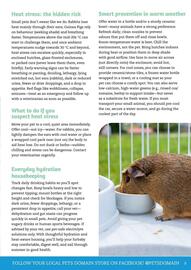 Pets Domain catalogue Page 9