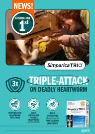 Pets Domain catalogue Page 13