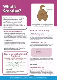 Pets Domain catalogue Page 33