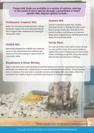 Pets Domain catalogue Page 37