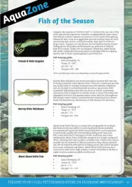 Pets Domain catalogue Page 39