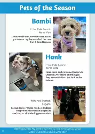 Pets Domain catalogue Page 40