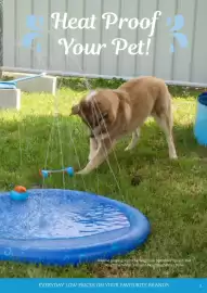 Pets Domain catalogue Page 5