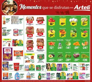 Folleto Arteli Página 2