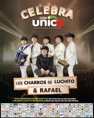 Catálogo Supermercado Único (válido hasta 8-01)