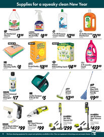 Bunnings catalogue Page 4