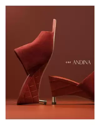 Catálogo Jorge Bischoff (válido até 10-01)