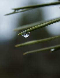 Folheto Roca Página 13