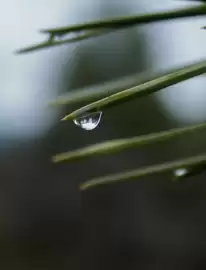 Folheto Roca Página 13