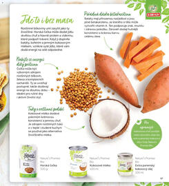 Albert leták Strana 17