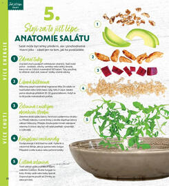 Albert leták Strana 32