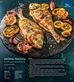 Albert leták Strana 23