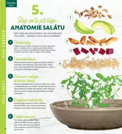 Albert leták Strana 32