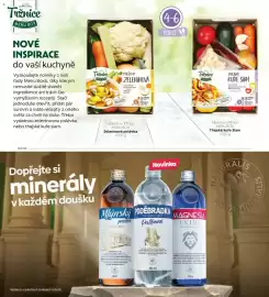 Albert leták Strana 62