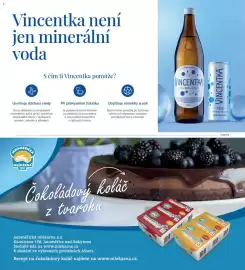 Albert leták Strana 63