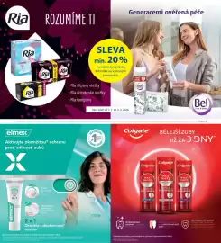 Albert leták Strana 71