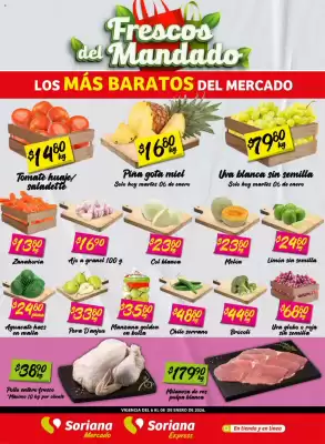Folleto Soriana Mercado (válido hasta 9-01)