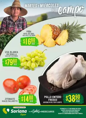 Catálogo Soriana Súper (válido hasta 8-01)