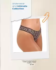 Catálogo Vitnik Página 37