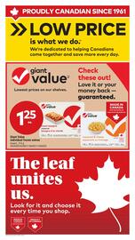 Giant Tiger flyer week 2 Page 6