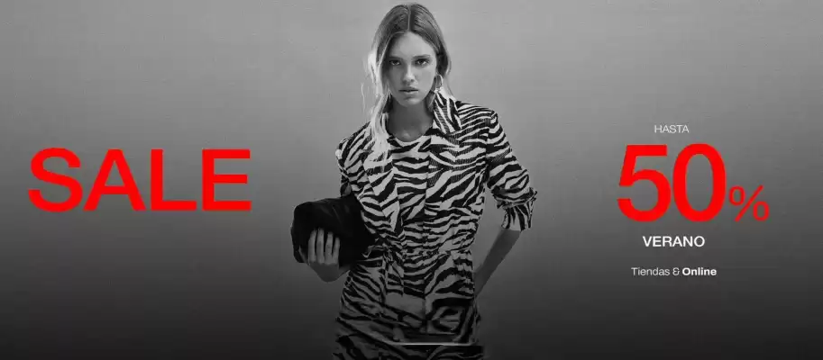 Catálogo ASH (válido hasta 21-01)