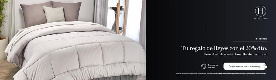 Catálogo Brissa Página 3