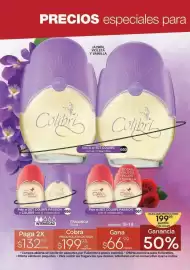 Catálogo Fuller Página 13