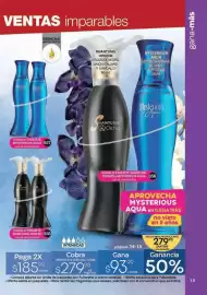 Catálogo Fuller Página 14