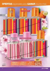 Catálogo Fuller Página 15