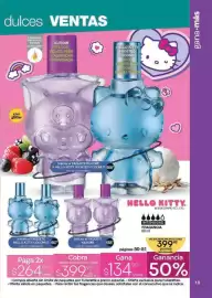 Catálogo Fuller Página 17