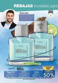 Catálogo Fuller Página 20