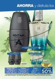 Catálogo Fuller Página 22