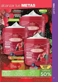 Catálogo Fuller Página 25