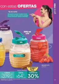 Catálogo Fuller Página 29