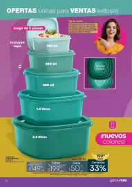 Catálogo Fuller Página 30